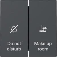 Gira Wippschalter Anzeige Hotelzimmerstatus mit Wippe 2fach anthrazit, Retail