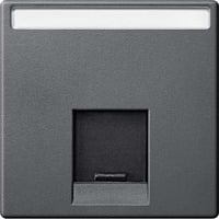 Merten Zentralplatte einfach mit Schriftfeld und Verschlussschieber anthrazit, Retail