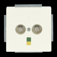 Busch-Jaeger Potentialausgleich 2-fach Unterputz, Dose Retail