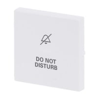 Busch-Jaeger Wippe Retail