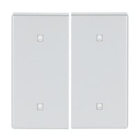 Busch-Jaeger Wippe zwei fach Elektroniktaster aluminium, Retail