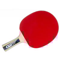 4000885544275 - Donic Schildkröt Legends 1000 FSC Tischtennisschläger (Bunt One Size) Tischtennis