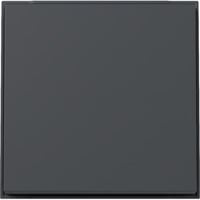 Gira Wippe mit Diebstahlschutz durch optional verschraubbares Klemmstück anthrazit, Retail