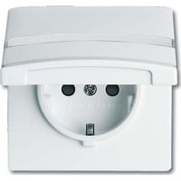 Busch-Jaeger Schutzkontakt-Steckdoseneinsatz Typ F 20 EUGKBN-32-101 Retail