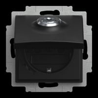 Busch-Jaeger Steckdosen Einsatz 20 EUKBSL-915 schwarz, Retail