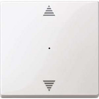 4042811034559 - Wippe für Tastermodul einfach glänzend Thermoplast System M Typ 619419