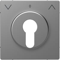 Merten Zentralplatte für genormte Profil-Halbzylinderschlösser mit 40 mm Länge edelstahl, Retail