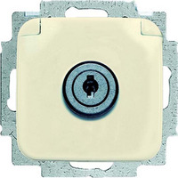 Busch-Jaeger Steckdose mit Klappdeckel abschließbar gleichschließend Retail