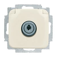 Busch-Jaeger Steckdose mit Klappdeckel abschließbar gleichschließend Retail