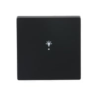 Busch-Jaeger Wippe future linear schwarz, Retail