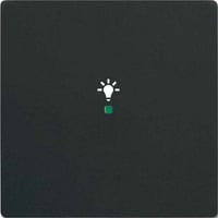 4011395203293 - Wippe future linear