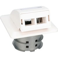 Digitus FTTH Glasfaser Unterputz-Wandanschlussdose, 2 Ports weiß, für SC- und LC-Adapter