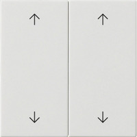 Gira Wippe zwei fach weiß, Retail