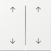 4010337065838 - GIRA 329703 Wippe 2fach Pfeile System 55 Reinweiß glänzend