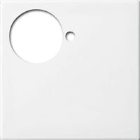 Busch-Jaeger Zentralscheibe alpinws, Zentralplatte weiß, Retail