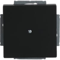 Busch-Jaeger Zentralscheibe mit Tragring, Blindabdeckung, matt, Kunststoff, Unterputz, 71x71 mm schwarz (matt), Retail