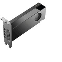 PNY NVIDIA RTX PRO 2000 Blackwell Generation 16GB SB, Grafikkarte Bulk