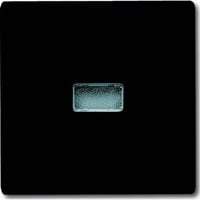 Busch-Jaeger Wippe Kontroll-Wechsel anthrazit, Retail