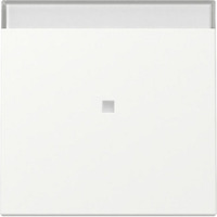 Gira Wippe Kontrollfenster weiß, Retail