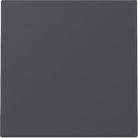 4010337039389 - Wippe einteilige Wippe für Schalter und Taster mit Klemmbefestigung aus Kunststoff