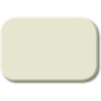 Busch-Jaeger Tastersymbol 2525 N, Schalter weiß, Retail