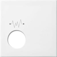 Busch-Jaeger Zentralscheibe 2548-020 F-914, Abdeckung weiß, Retail