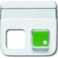 4011395092675 - BJ Infoline Abdeckung mit 1572CN-214 Schriftfeld 2fach alpinweiss