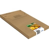Epson Tinte Multipack 604XL Black/Std. CMY (C13T10H64510) Easymail-Verpackung