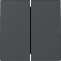 Gira Wippe zweifach anthrazit, Retail