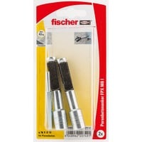 fischer Porenbetonanker FPX-I M10 K, Dübel silber/schwarz, 2 Stück