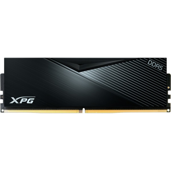 ADATA DIMM 16 GB DDR5-6000 (1x 16 GB) , Arbeitsspeicher schwarz ...