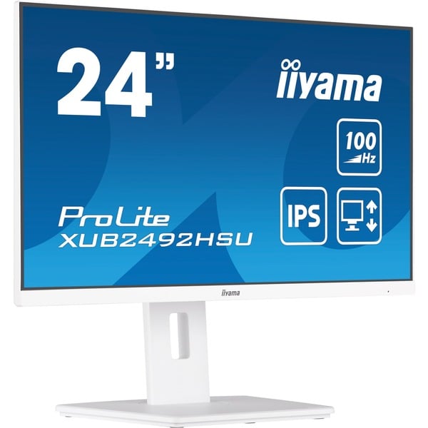 iiyama_ProLite_XUB2492HSU_W6__ 