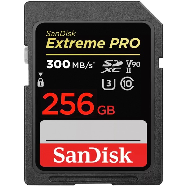 SanDisk Extreme PRO 256 GB SDXC Speicherkarte (schwarz UHS-II U3 Class 10 V90)