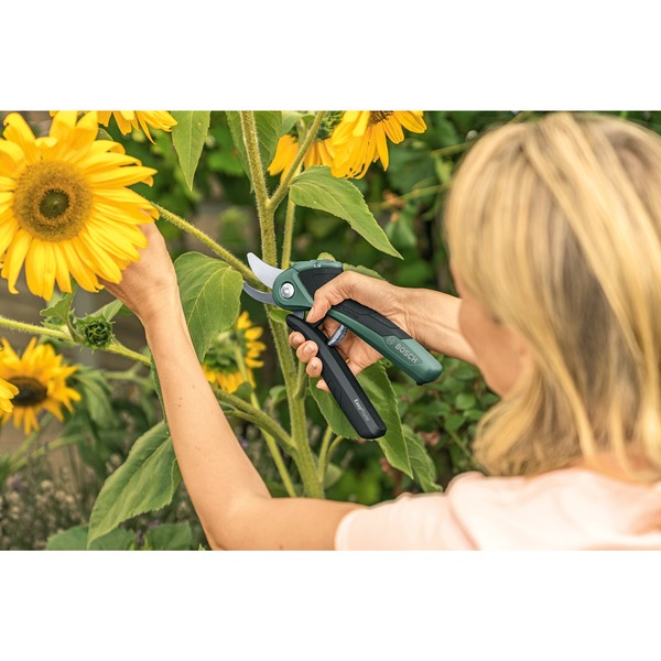 Bosch Heimwerken & Garten AkkuGartenschere EasyPrune, 3,6Volt grün/schwarz