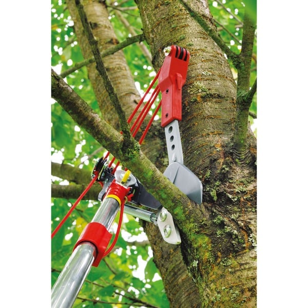 WOLFGarten ProfiBaumschere RCVM Amboss, multistar rot, VarioStiel