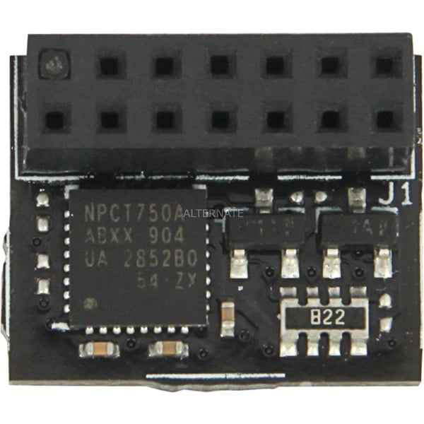 ASUS TPM-SPI