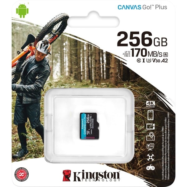 Kingston Canvas Go! Plus 256 GB microSDXC, Speicherkarte schwarz, UHSI