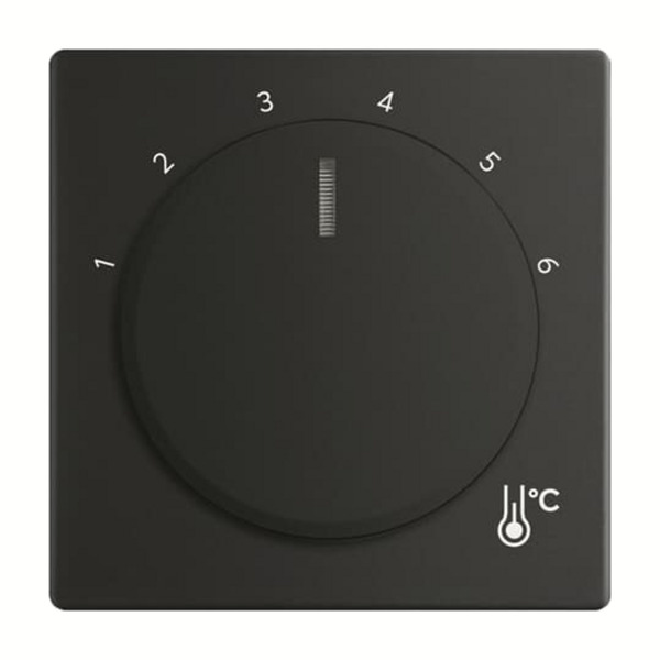 Zentralscheibe Temperatur rund 1794 R-885, Thermostat