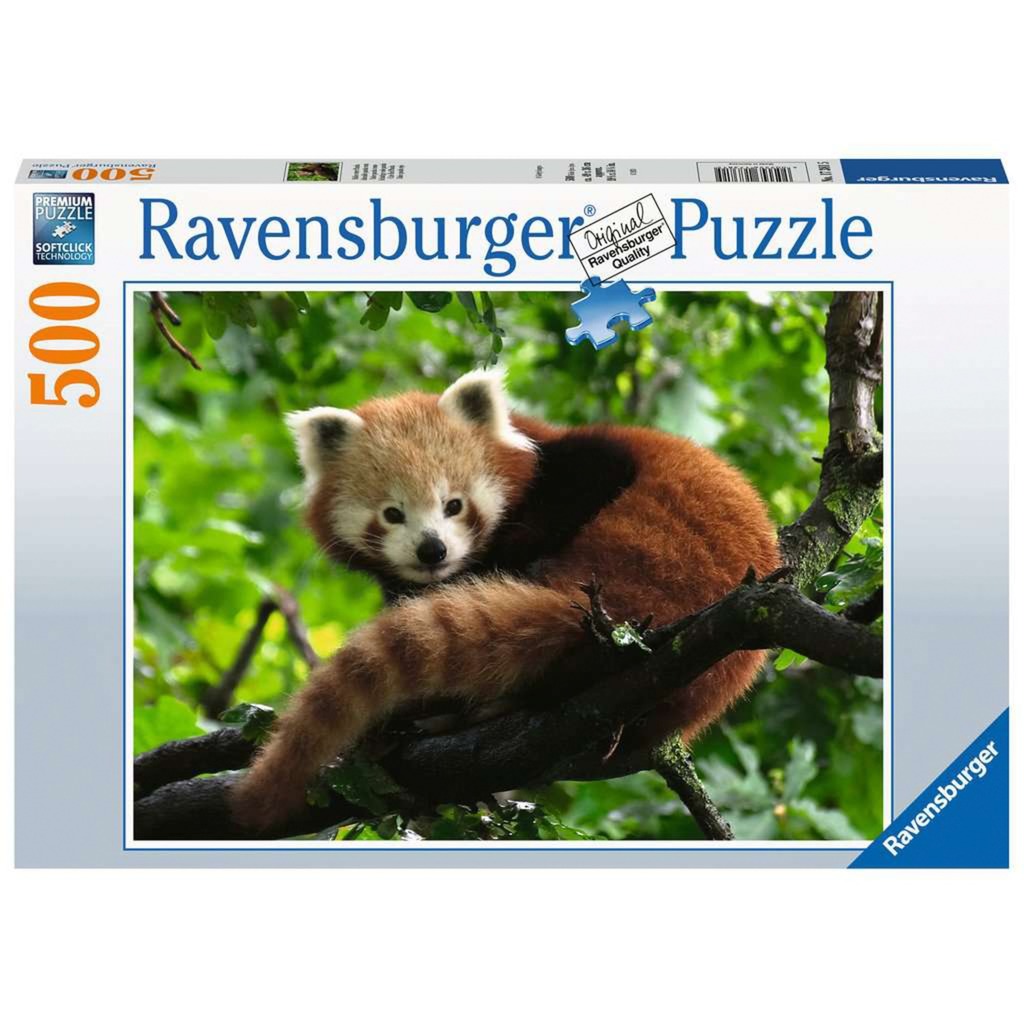 Puzzle Süßer roter Panda