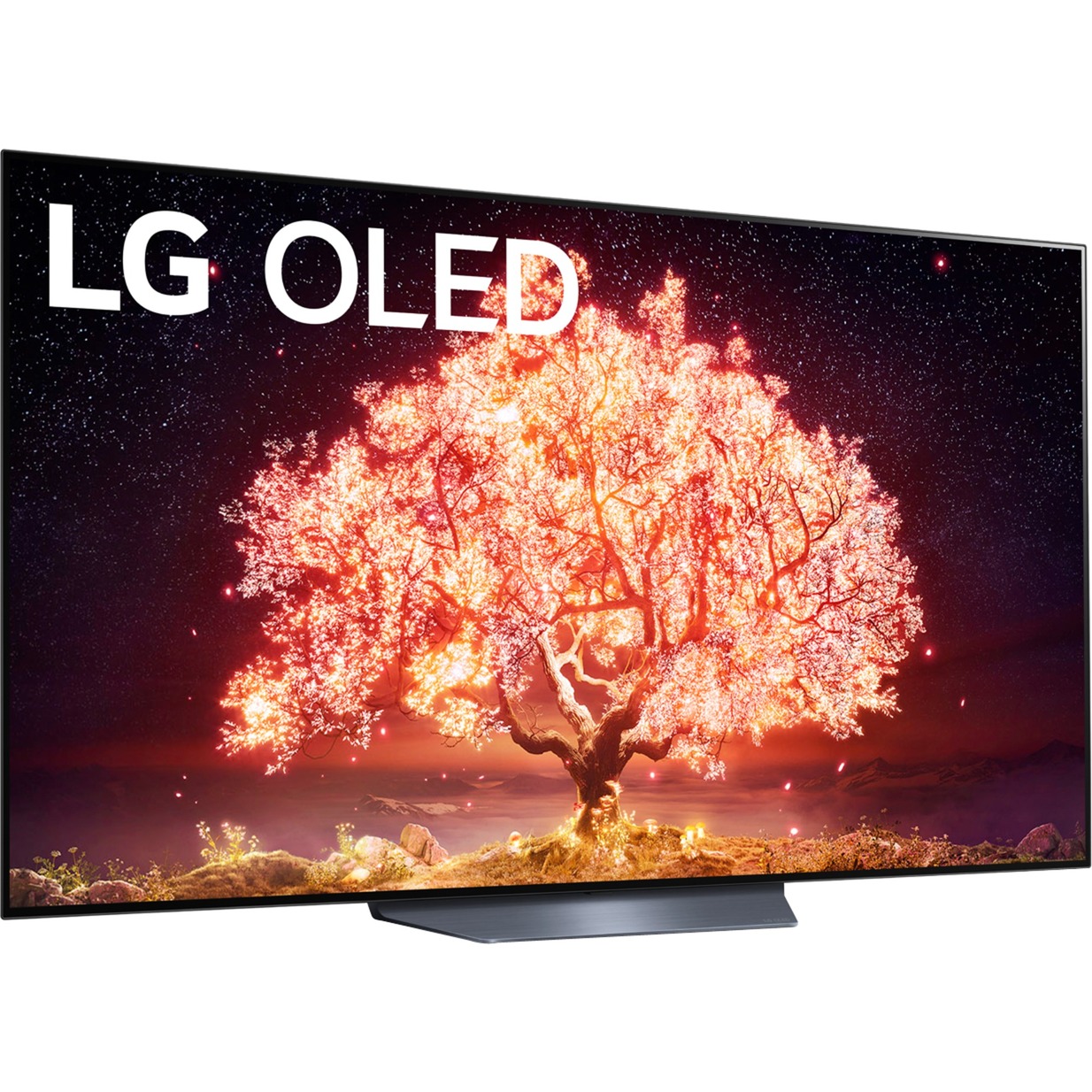 LG Electronics OLED65B19LA, OLED-Fernseher | 08806091158062