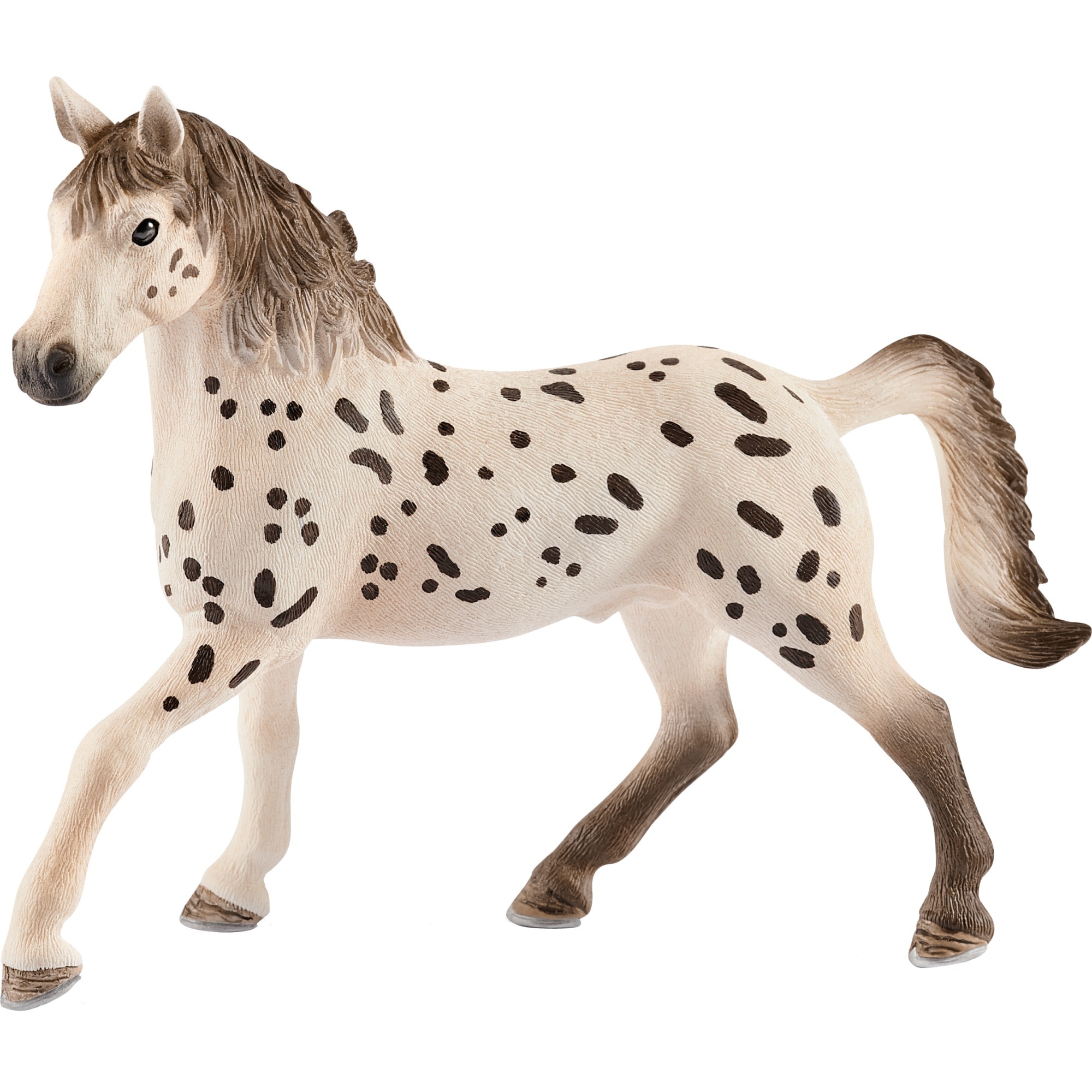 Schleich Horse Club Knabstrupper Hengst, Spielfigur | 04059433025667 Schleich Horse Club Knabstrupper Hengst, Spielfigur | 04059433025667