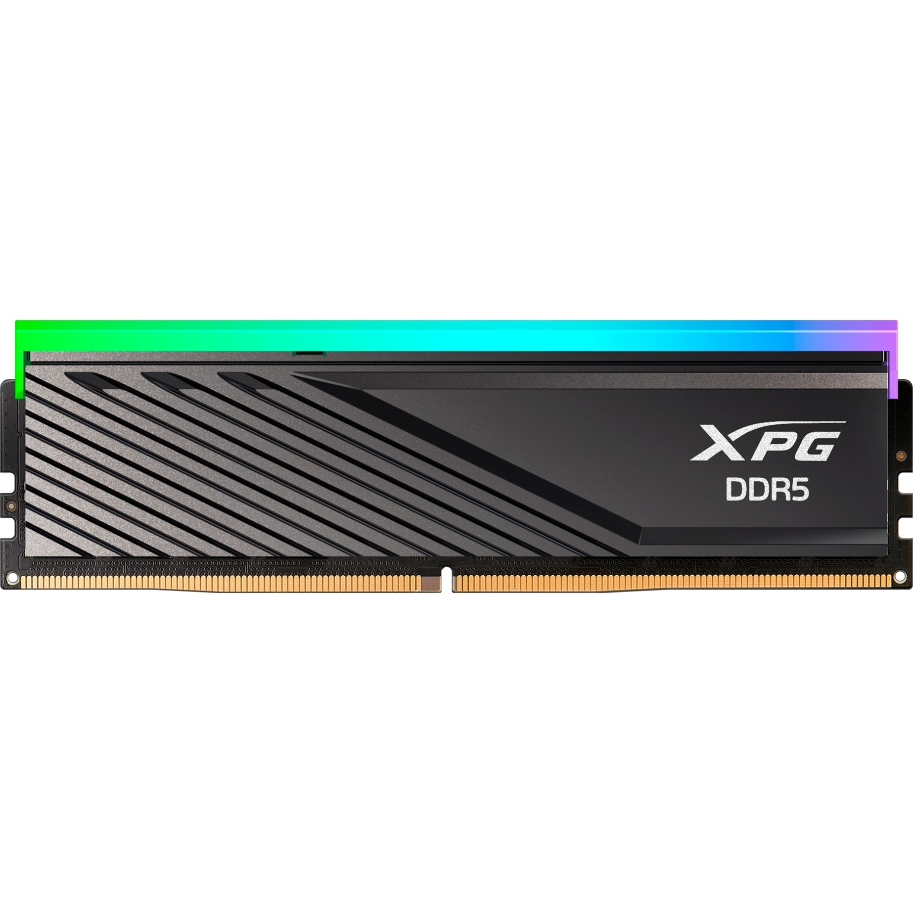 ADATA DIMM 16 GB DDR5-6000 , Arbeitsspeicher | 04711085944870