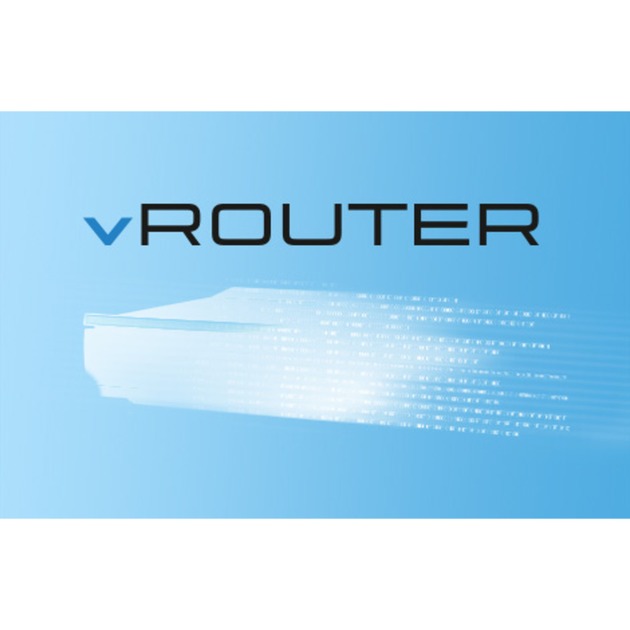 Lancom vRouter 1000 (200 VPN, 128 ARF, 1 Year), Lizenz | 04044144590047