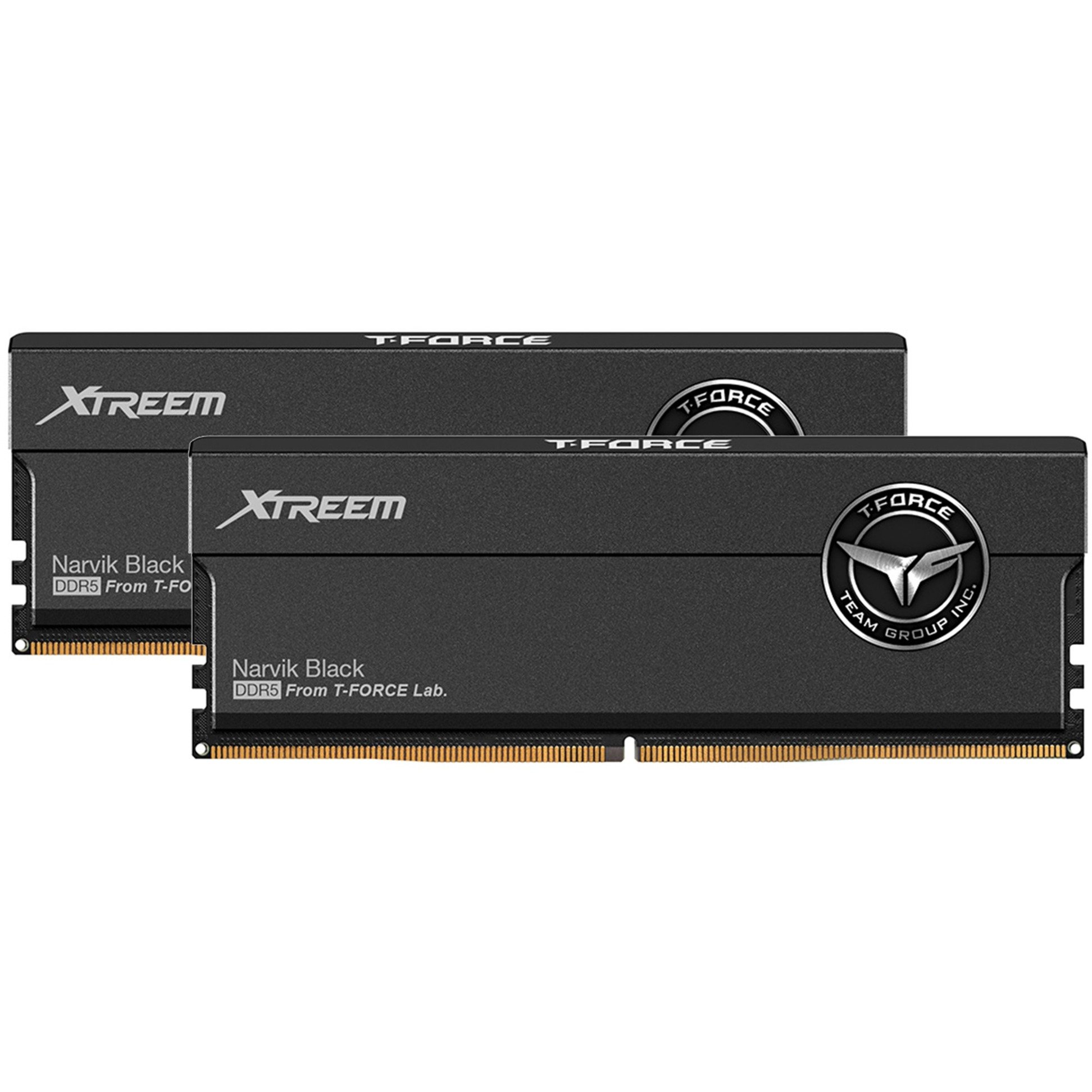 Team Group DIMM 32 GB DDR5-8000 (2x 16 GB) Dual-Kit, Arbeitsspeicher | 04711430800882 Team Group DIMM 32 GB DDR5-8000 (2x 16 GB) Dual-Kit, Arbeitsspeicher | 04711430800882