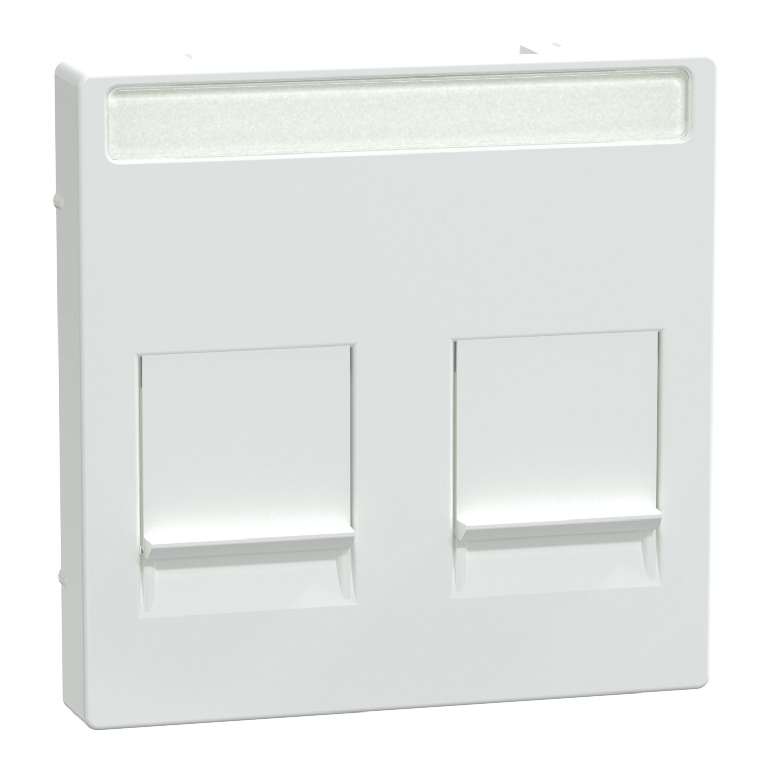 Zentralplatte zweifach mit Anschlussklemmen und Beschriftungsfeld für Modular Jack