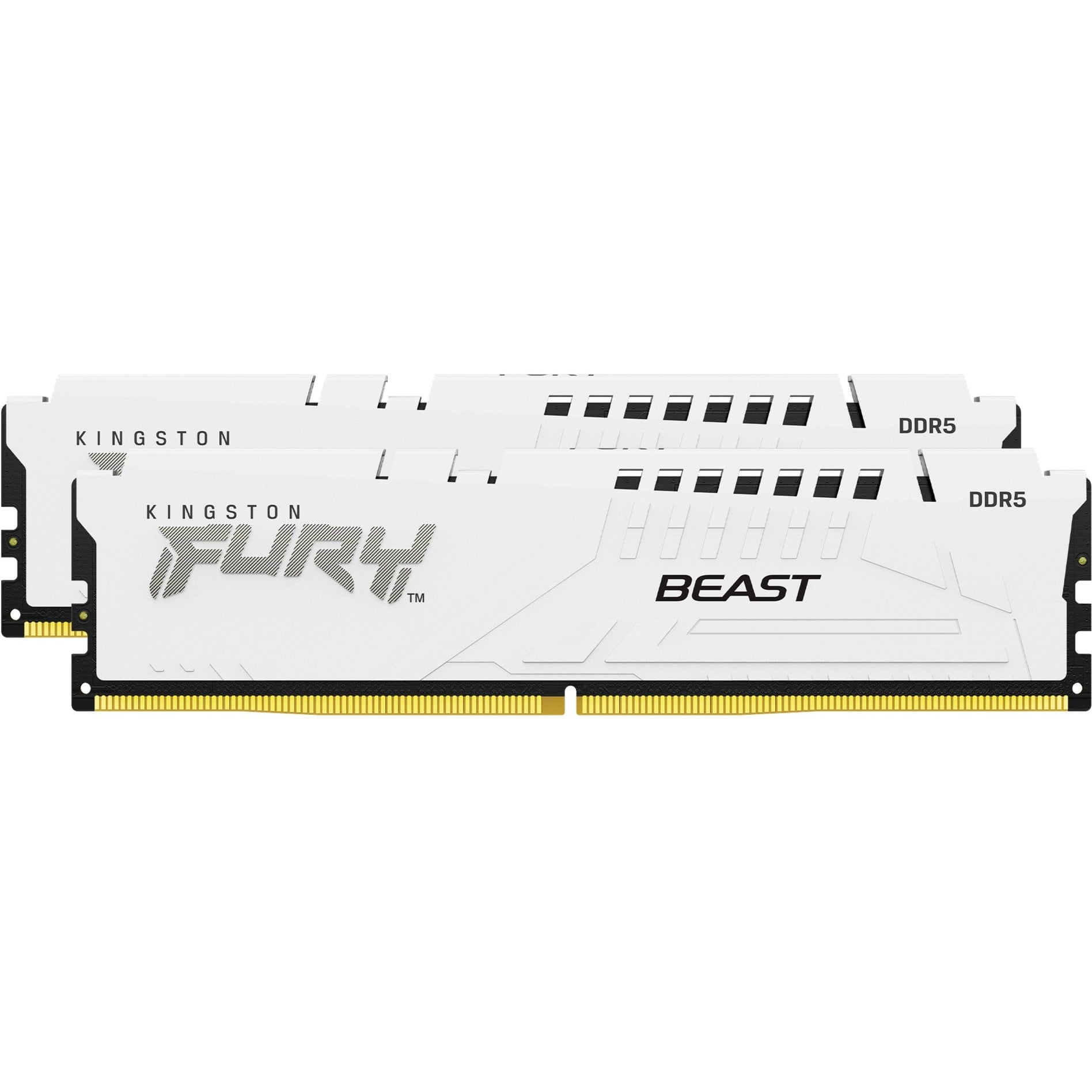 DIMM 64 GB DDR5-6000 (2x 32 GB) Dual-Kit, Arbeitsspeicher