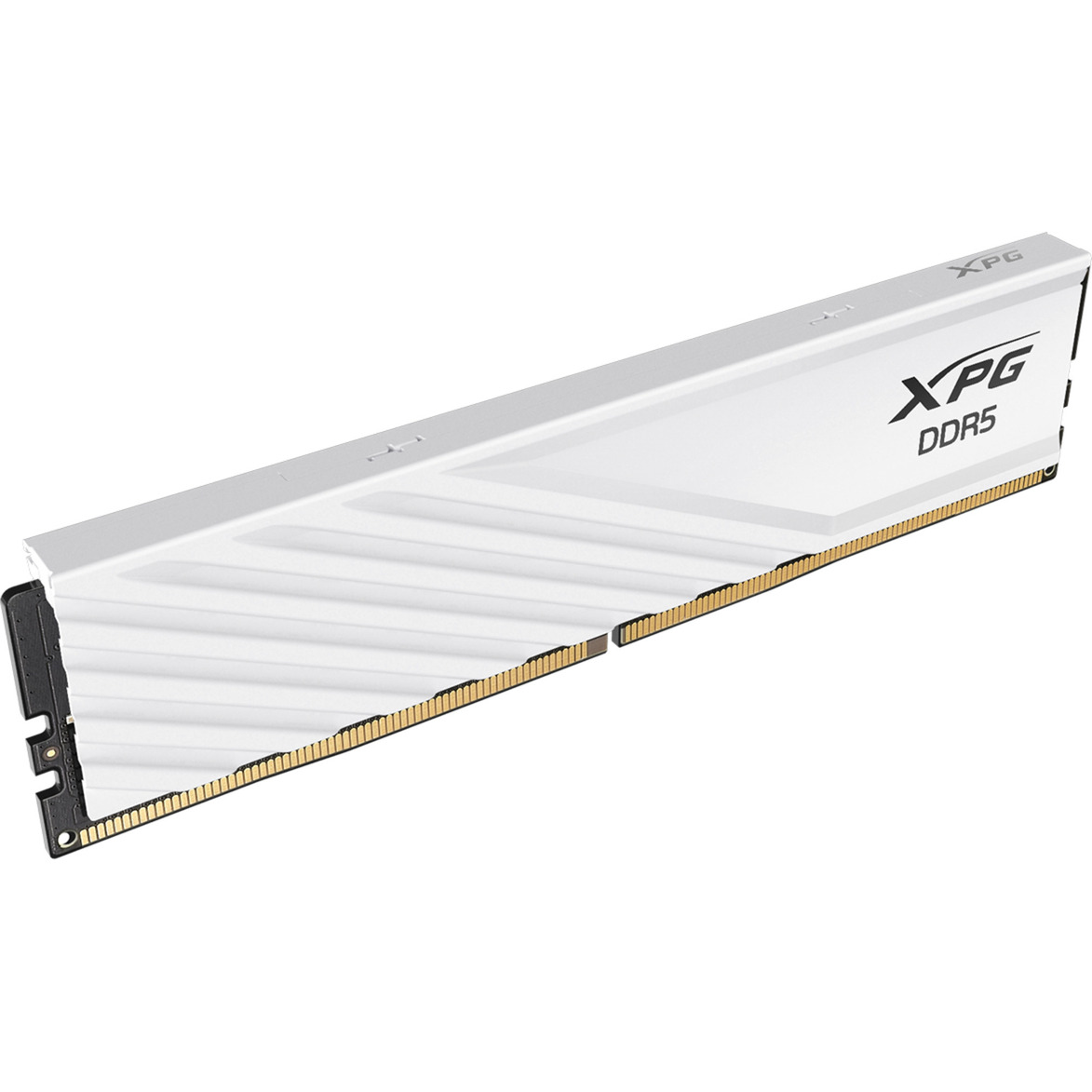 DIMM 24 GB DDR5-6000, Arbeitsspeicher