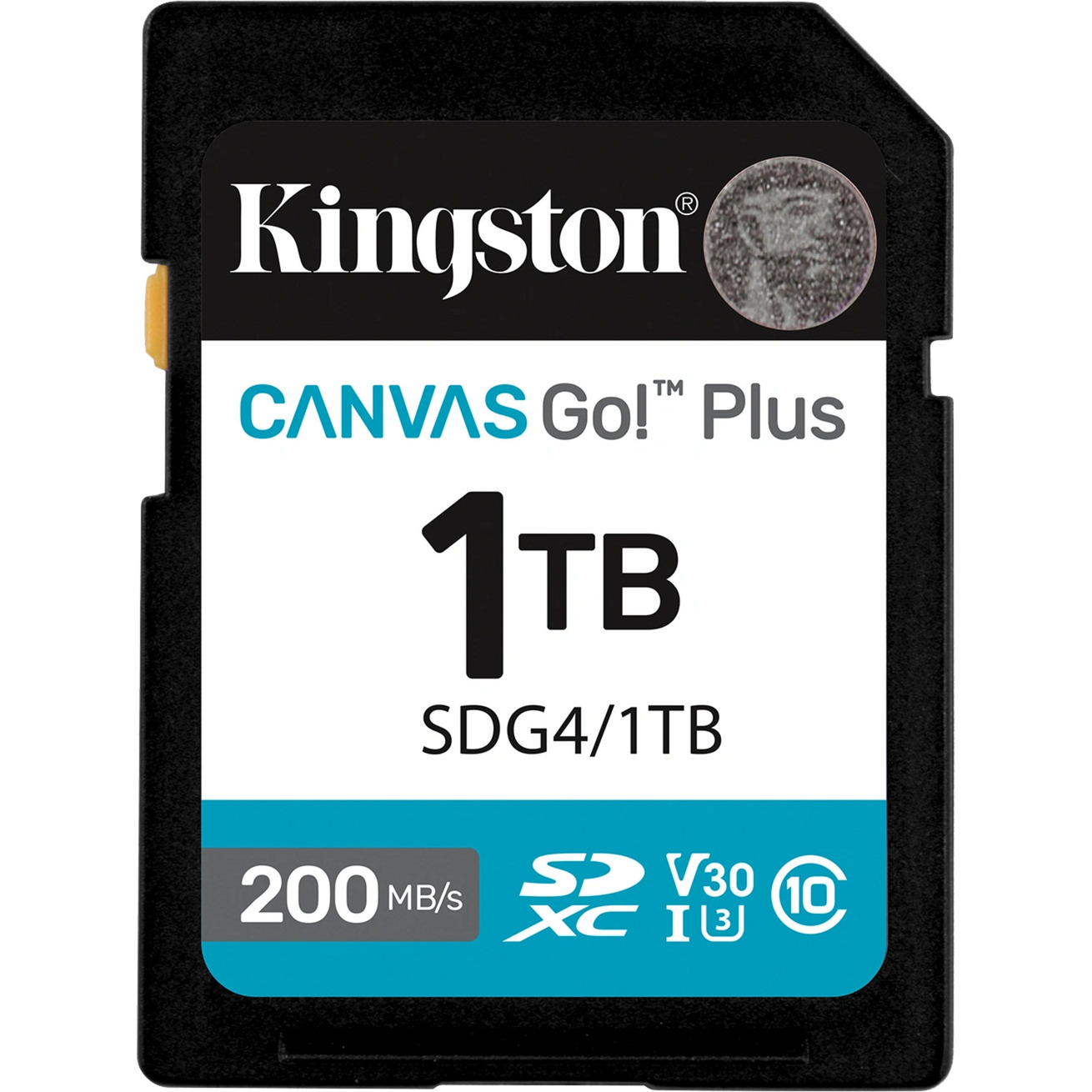 Canvas Go! Plus 1TB SDXC, Speicherkarte