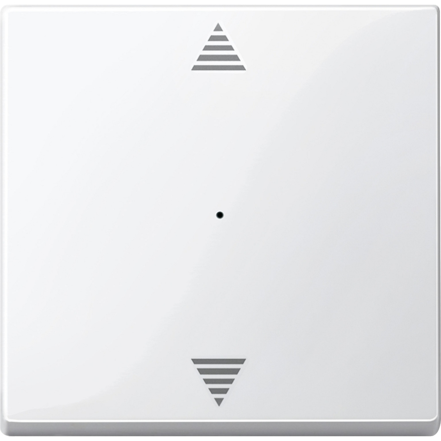 Wippe für Tastermodul einfach, glänzend, Thermoplast, System M, Typ 619419
