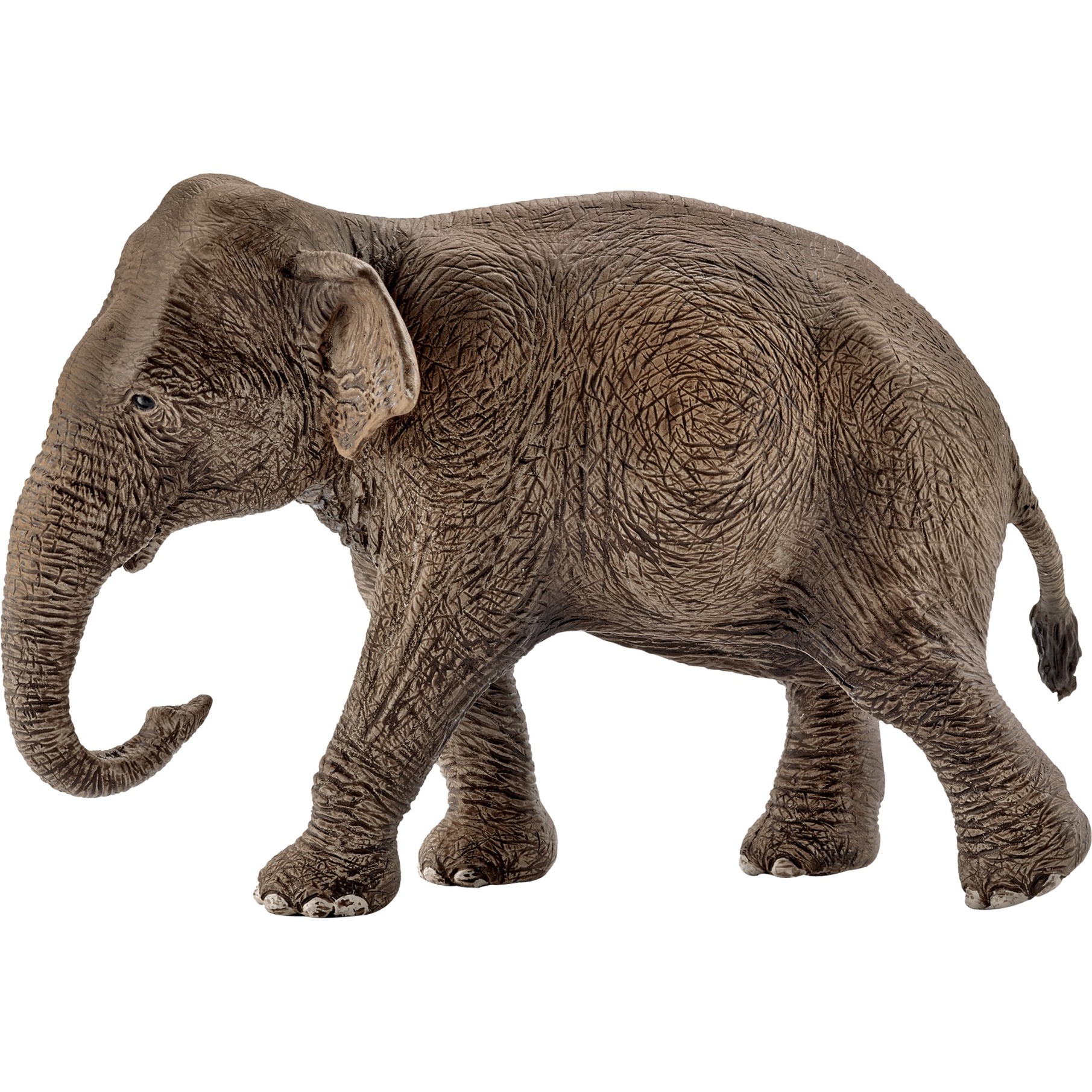 Schleich Asiatische Elefantenkuh, Spielfigur | 04005086147539 Schleich Asiatische Elefantenkuh, Spielfigur | 04005086147539